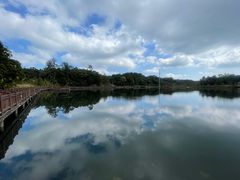 -海南热带雨林国家公园吊罗山景区
