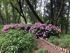 -西湖风景区-江洋畈生态公园