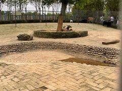 -武汉紫薇都市田园