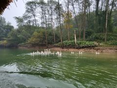 -常德桃花源景区