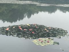 -西湖游船