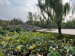 -上海大学(宝山校区)
