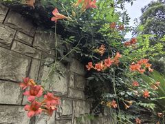 -常州古运河南大街文化旅游区-人民公园