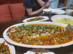 飞虹鱼-飞虹鱼馆(春华路店)