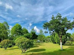 -鉴湖国家城市湿地公园