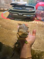 -酷嗒动物文化乐园(cutezoo西溪乐天城店)