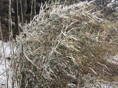 -洛阳白云山景区