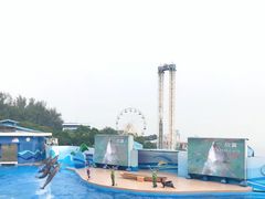 -香港海洋公园