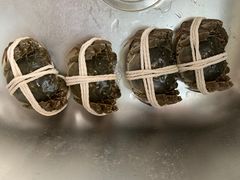-阳澄湖大闸蟹·琼灵阁牌品牌连锁(吴中总店)