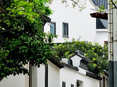 -树山生态村