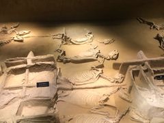 -洛阳周王城天子驾六博物馆