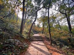 -九曜山
