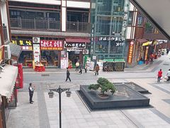 -颜氏双江清水鱼一养身火锅(磁器口店)