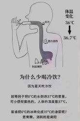 -YESIDO椰岛美容