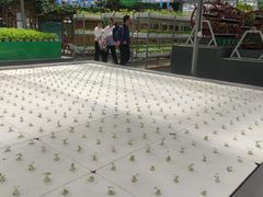 -兰陵国家农业公园