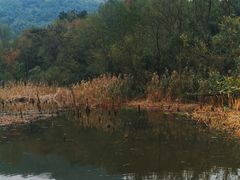 -西湖风景区-江洋畈生态公园