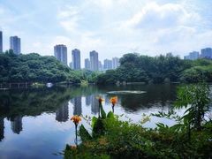 -重庆彩云湖湿地公园