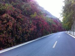 iphone_upload_pic-乌龙峡谷景区