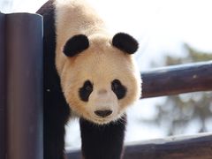 -杭州野生动物世界
