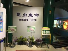 -上海昆虫博物馆