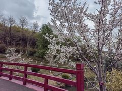 -羊山湖公园