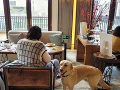 -上海崇明金茂凯悦酒店