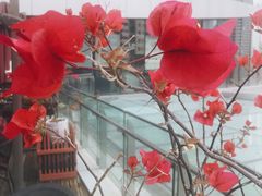 -西西弗书店&矢量咖啡(来福士广场店)