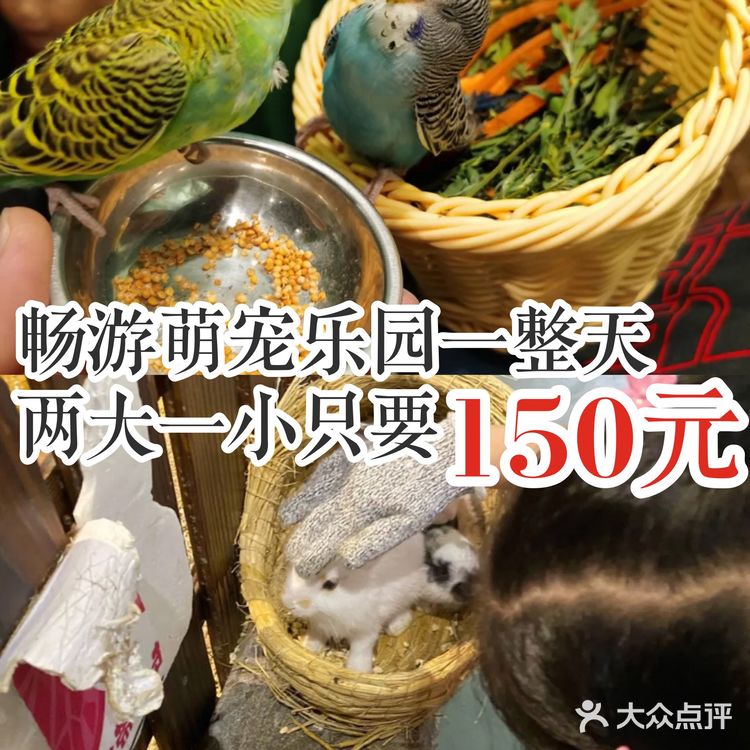 畅游萌宠乐园一整天，两大一小只要150元