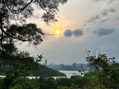 -深圳仙湖植物园