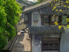 -乌镇景区