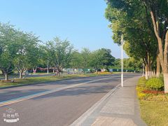 -羊山湖公园
