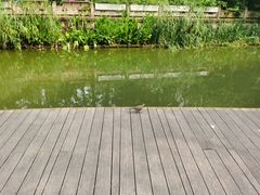 -兰溪青年公园