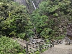 -大鄣山卧龙谷景区