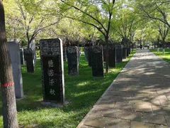 -大槐树寻根祭祖园