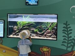 -海合安成都极地海洋公园