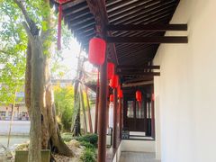 -上海醉白池公园