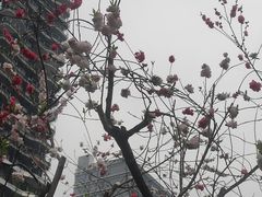 -木塔寺遗址生态公园