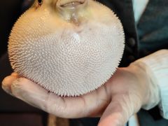 -永安鱼庄·镇江菜(东吴路店)