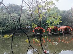 -侨美·唐荔园·40年地道粤菜