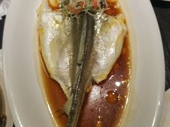清蒸东海大黄鱼-鹊玥·粤菜小馆(汇智国际商业中心店)