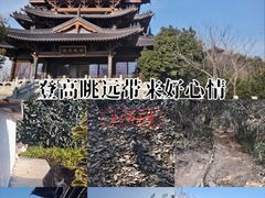 -杭州半山国家森林公园
