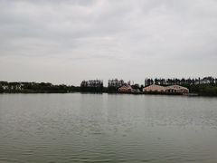 -上海长兴岛郊野公园