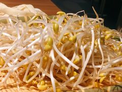 豆芽-守柴炉烤鸭(科华中路王府井店)