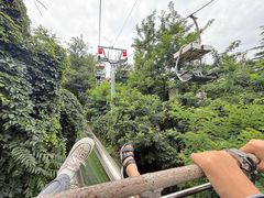 -富斯特索道