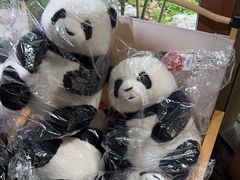 -轩客会(熊猫书店)