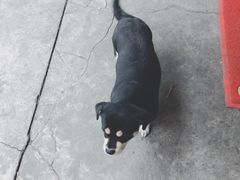 -好运来农家菜(吉林路店)