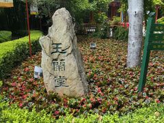 -白家大院·王府宫廷菜(苏州街店)