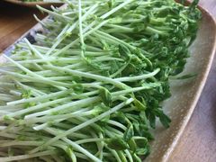 -顺德哥卜卜贝(旗舰店)