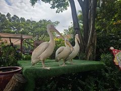 -广州长隆国际大马戏