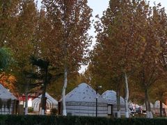 -九十九顶毡房(阜石路店)